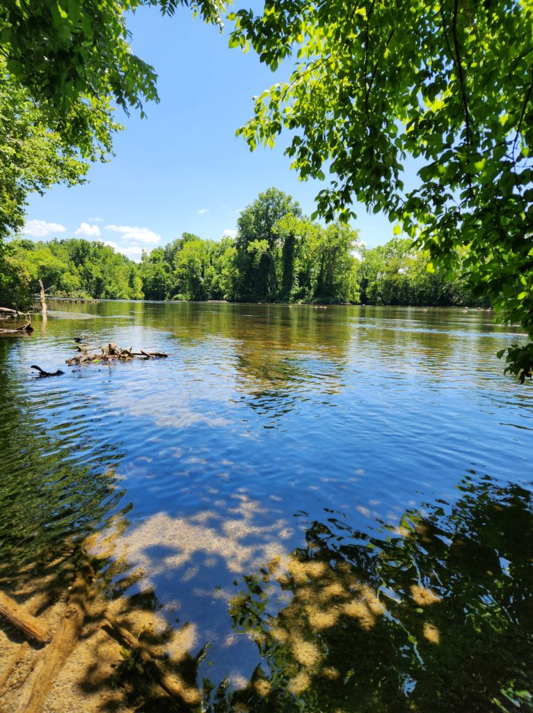 Looking out over a river from under the shade of trees. You can see through the water to the rocks and branches that are below. Trees and blue sky in the background. 