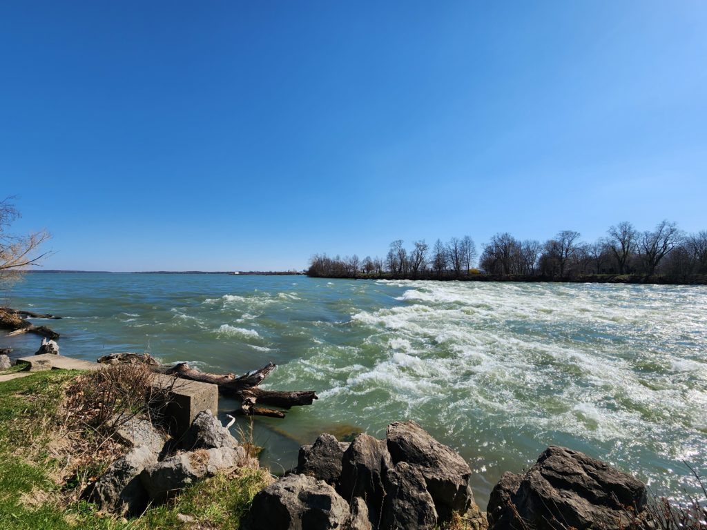 A view of the Niagara River, with rocks at the bottom along the shore and trees in the distance along the other shore. Blue sky at the top. 