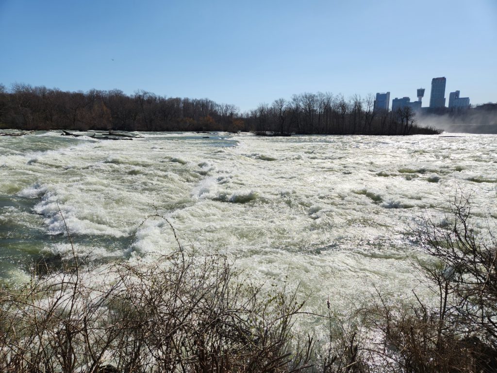 A view of the Niagara River rapids, just a bit before they flow over the American side of Niagara Falls. Trees in the distance.