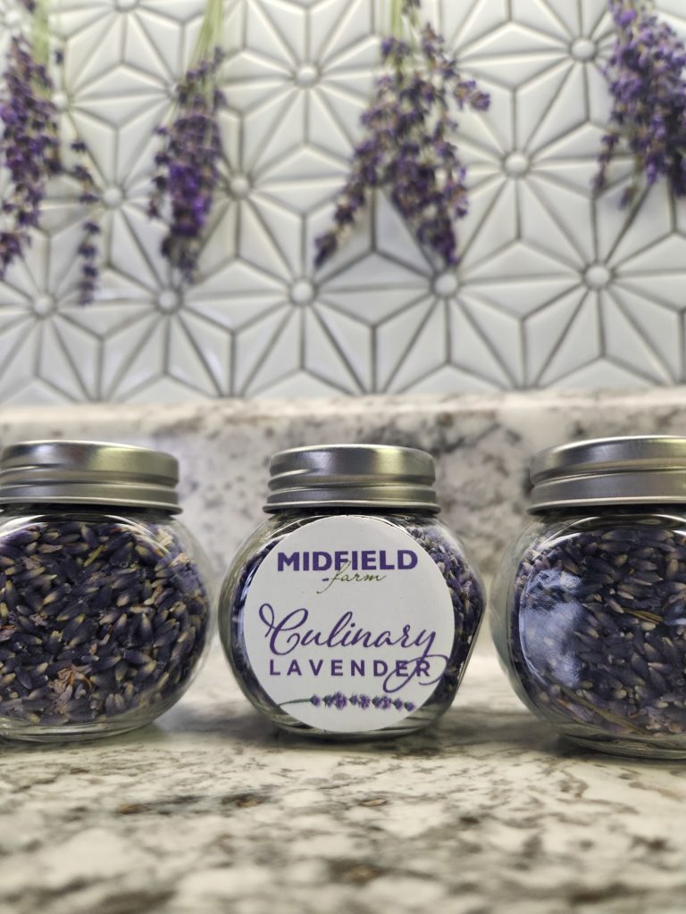 Three small jars of dried lavender buds sitting on a kitchen counter. A sticker on the front reads "Midfield Farm Culinary Lavender". Bundles of drying lavender are hanging in the background.