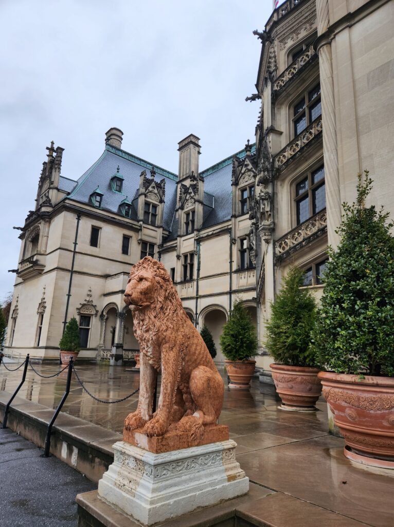 One of the two lions that sit in front of the Biltmore House, flanking the front door on either side.  