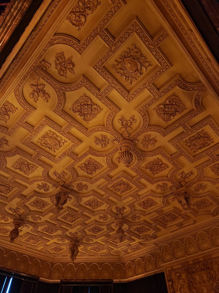 A ceiling decorated with an elaborate design.